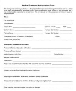 Professional Child Medical Consent Form Template Word Sample