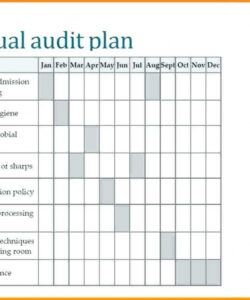 Professional Internal Audit Form Template Doc