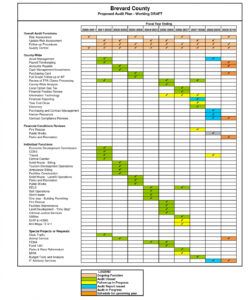 Professional Internal Audit Form Template Pdf Sample