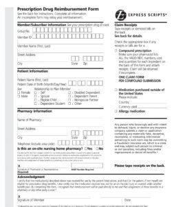 Professional Nonprofit Reimbursement Form Template Pdf Sample