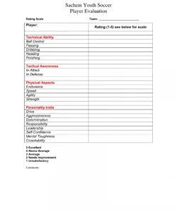 Soccer Player Evaluation Form Template  Example