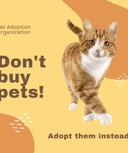 Best Cat Adoption Poster Template Word Example