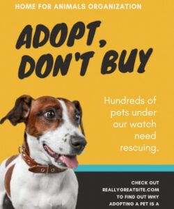 Best Dog Adoption Poster Template Word Sample