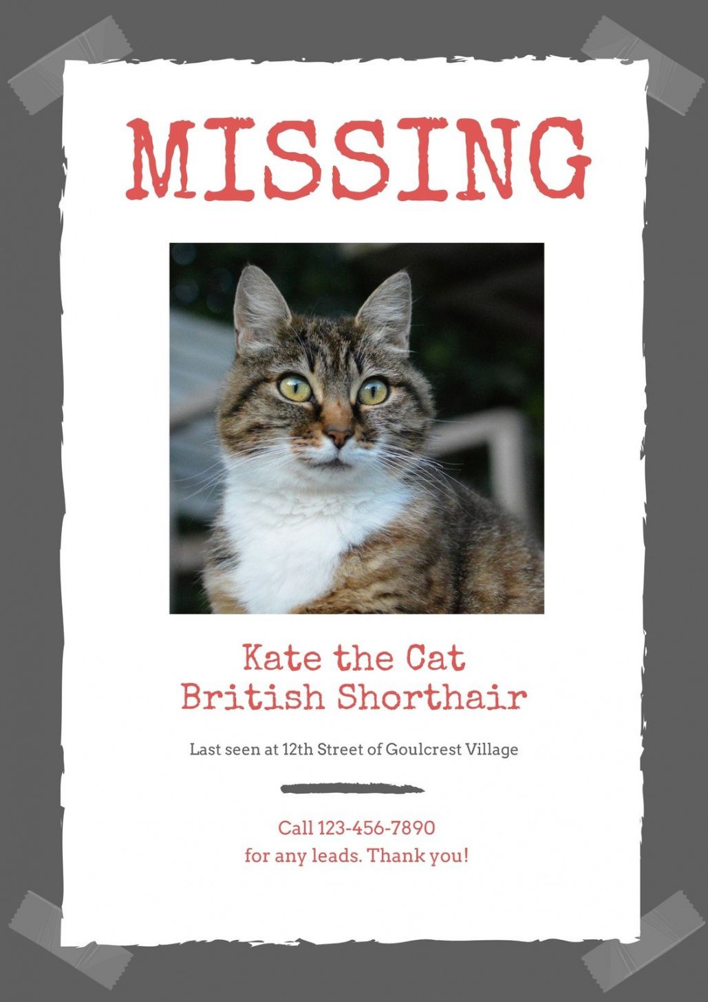 Best Funny Missing Person Poster Template  Sample