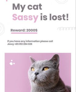 Costum Blank Lost Cat Poster Template Word