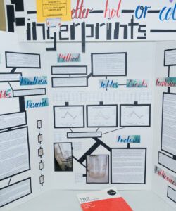 Editable Science Fair Poster Board Template Doc