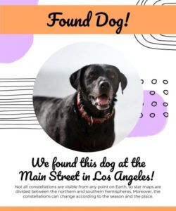 Found Dog Poster Template  Example