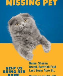 Free Blank Lost Cat Poster Template Pdf