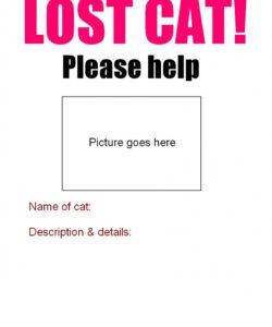 Free Blank Lost Cat Poster Template Pdf Sample