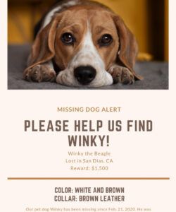 Free Found Dog Poster Template Word Example