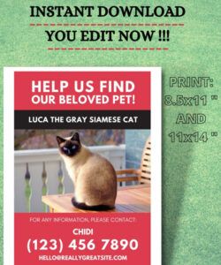 Printable Blank Lost Cat Poster Template Excel Example