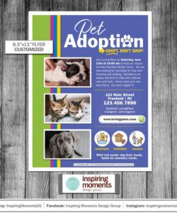 Printable Cat Adoption Poster Template Excel Sample