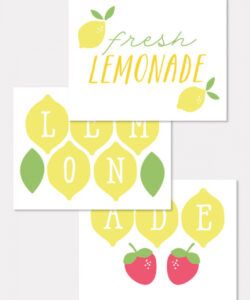 Printable Lemonade Stand Menu Template Doc Sample