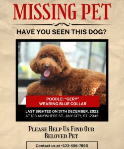 Printable Lost Dog Reward Poster Template  Example