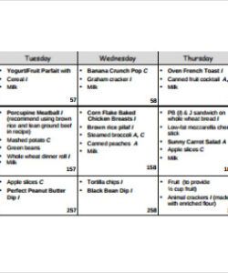 Costum 4 Week Cycle Menu Template  Excel