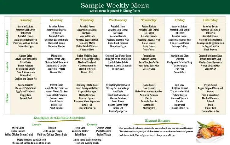 Editable Weekly Assisted Living Menu Template Excel Example