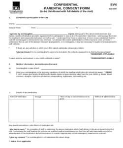 Costum Child Observation Consent Form Template