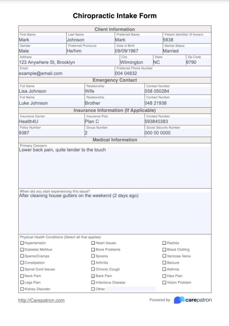 Costum Chiropractic Informed Consent Form Template Excel Sample