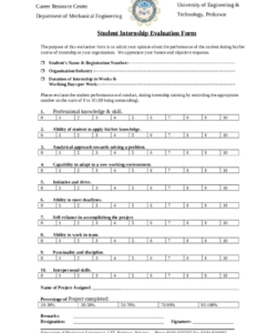 Costum Internship Feedback Form Template Excel