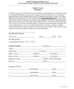 Costum Patient Informed Consent Form Template  Sample