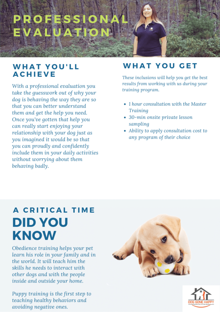 Dog Training Consultation Form Template Excel Example | Minasinternational