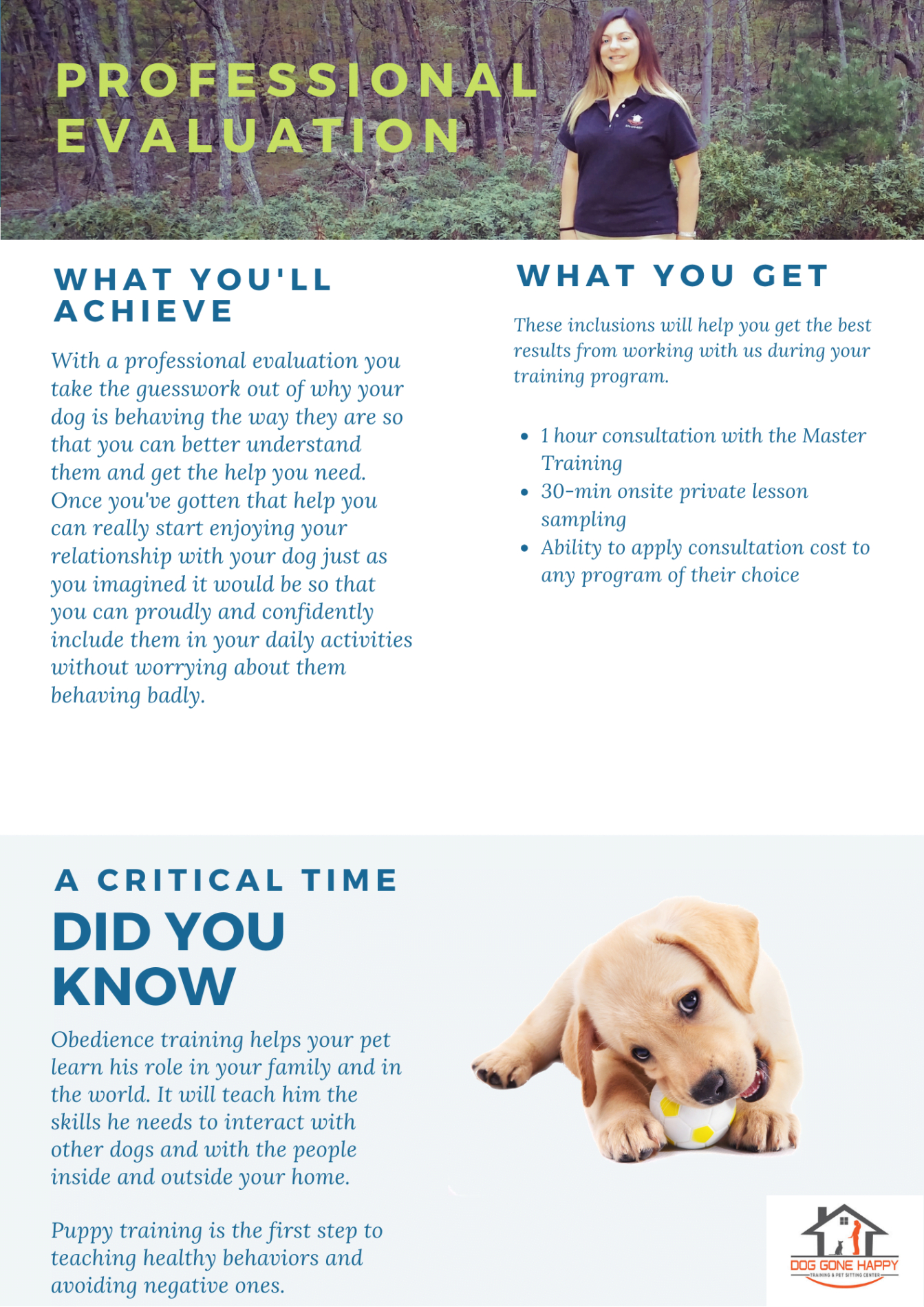 Dog Training Consultation Form Template Excel Example