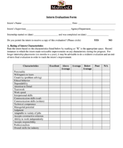 Printable Internship Feedback Form Template Excel Sample