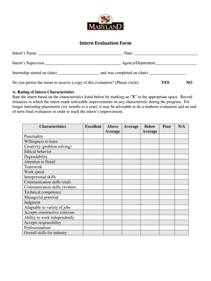 Printable Internship Feedback Form Template Excel Sample