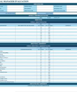 Professional Appraisal Feedback Form Template  Example