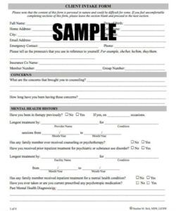 Professional Psychiatric Intake Form Template  Example