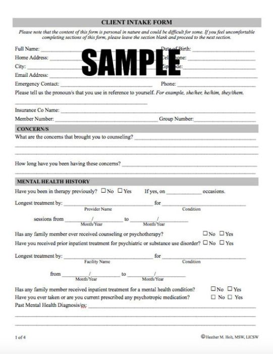 Professional Psychiatric Intake Form Template  Example