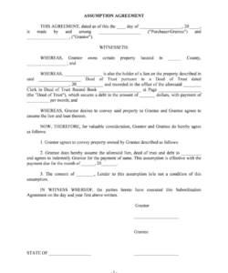 Editable Assumption Of Debt Agreement Template