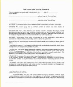 Editable Business Co Ownership Agreement Template Doc Sample