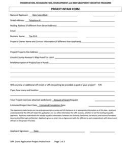 Custom Project Intake Form Template Pdf Sample
