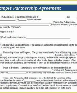 Blank 51 49 Partnership Agreement Template