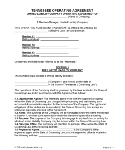 Editable Real Estate Operating Agreement Template Excel Sample