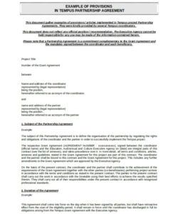 Free  51 49 Partnership Agreement Template Word Sample