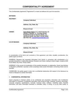 Free  Board Of Directors Confidentiality Agreement Template Excel Sample