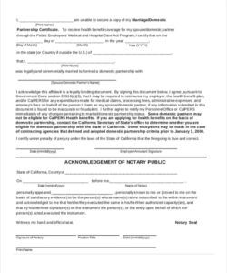 Editable Marriage Witness Affidavit Template Pdf