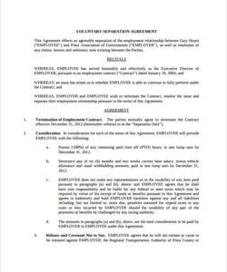 Free Editable Voluntary Redundancy Agreement Template Word Sample