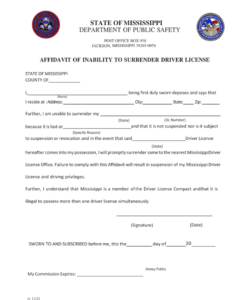 Free  Limited Licence Affidavit Template Excel