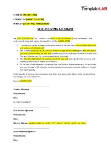 Free  Self Proving Affidavit Texas Template Excel