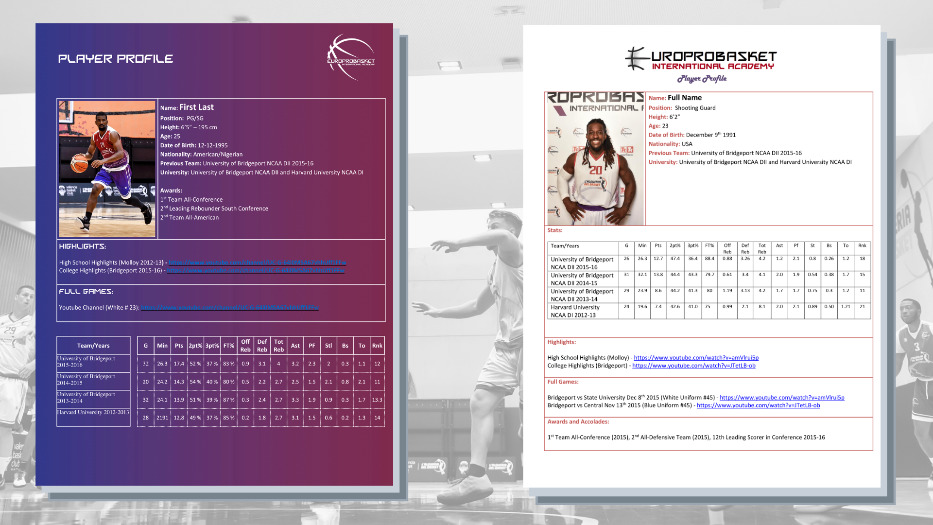 basketball-resume-template-for-player
