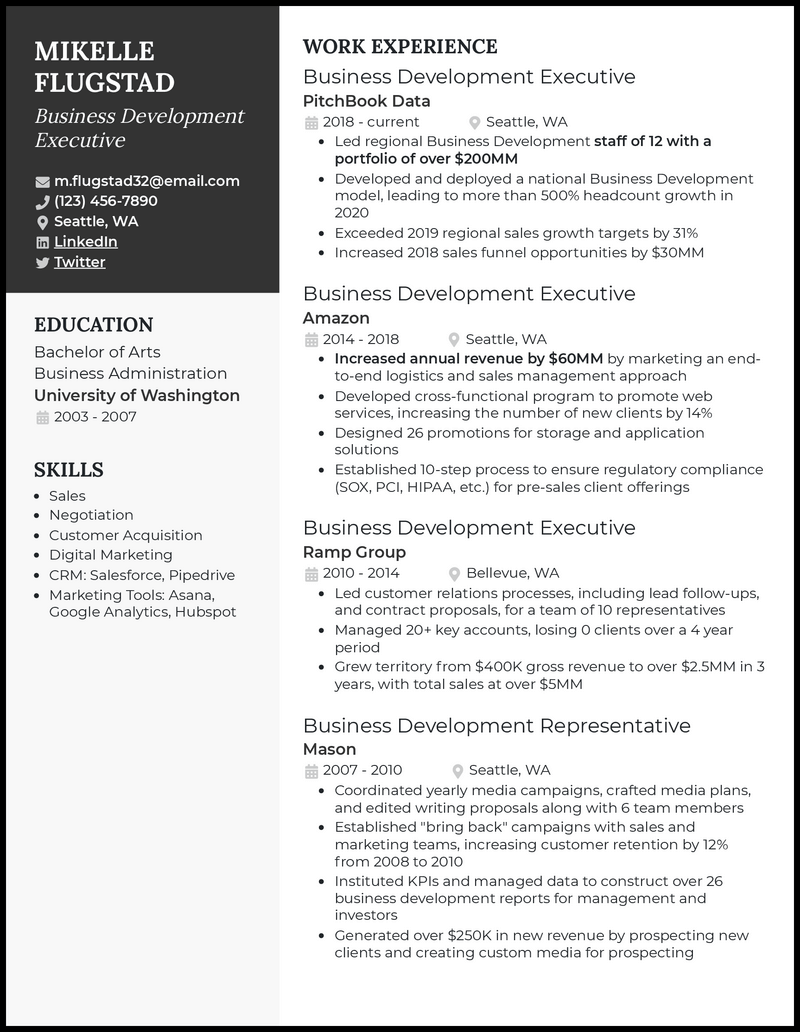 business-development-executive-resume-template