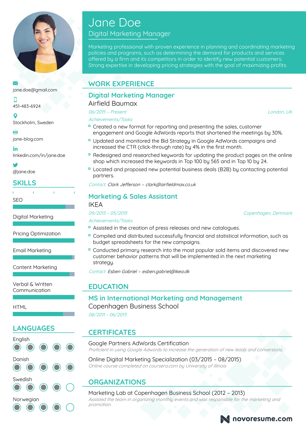 chronological-and-functional-resume-template