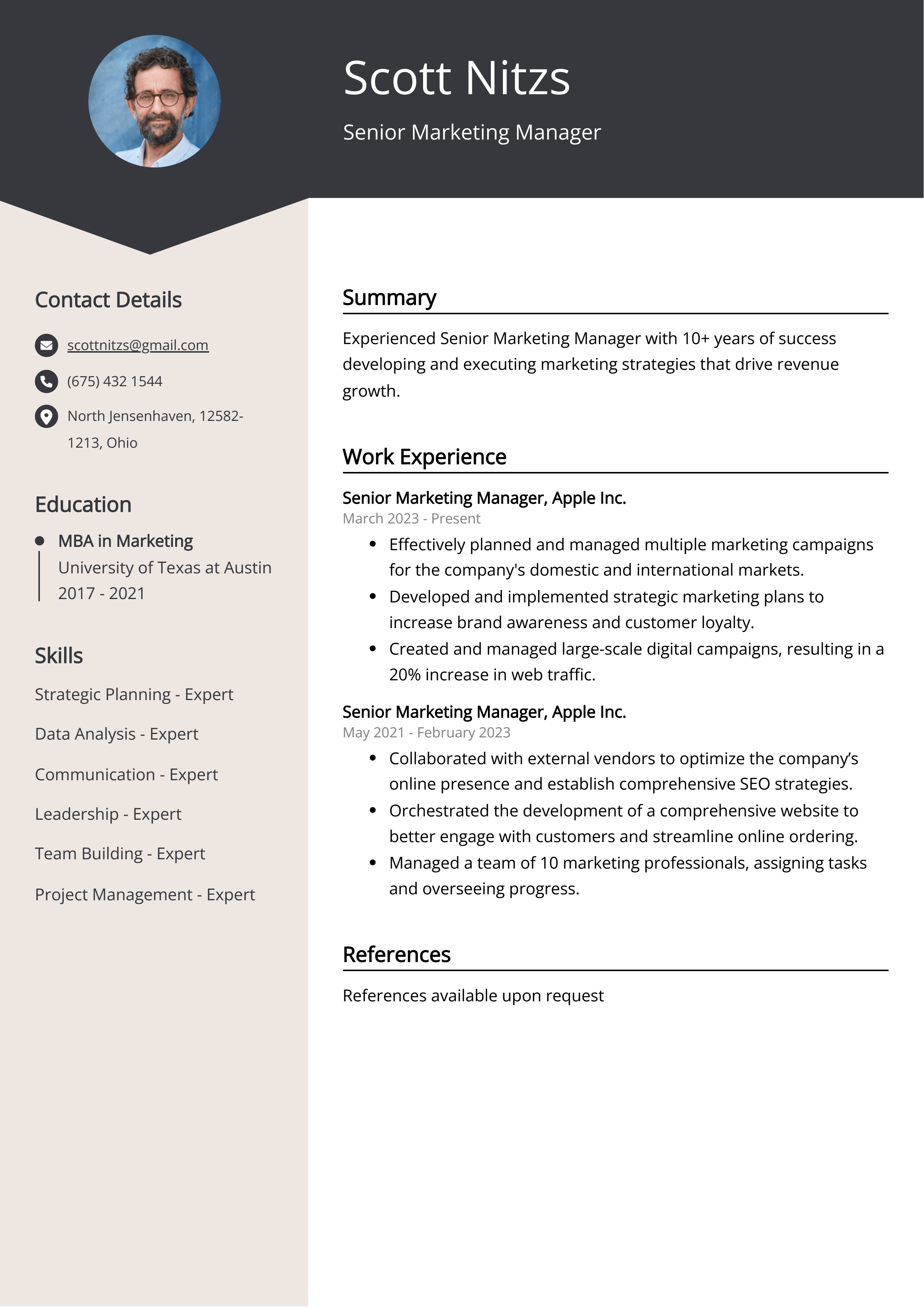 senior-marketing-manager-resume-template
